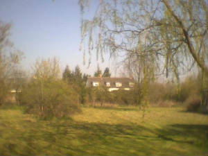 home1.jpg
